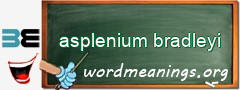 WordMeaning blackboard for asplenium bradleyi